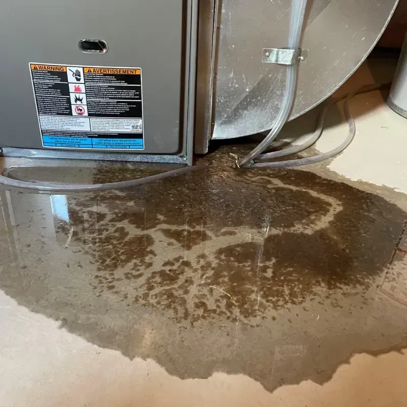 Appliance Leak Cleanup in Benwood, WV